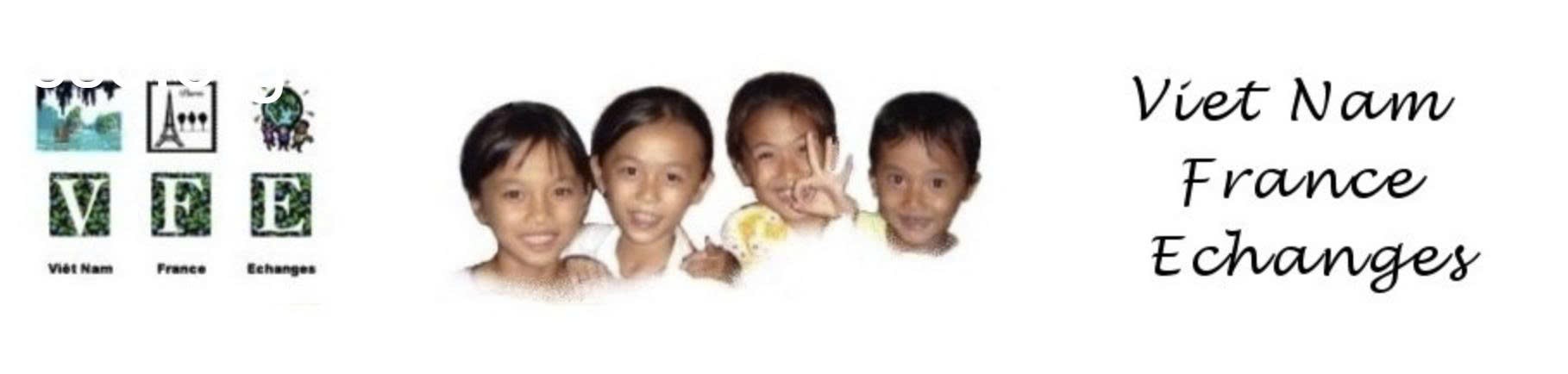 Viet Nam France Echanges Logo